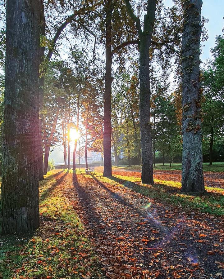 Graeflicher Park Health & Balance Resort Bad Driburg Zewnętrze zdjęcie