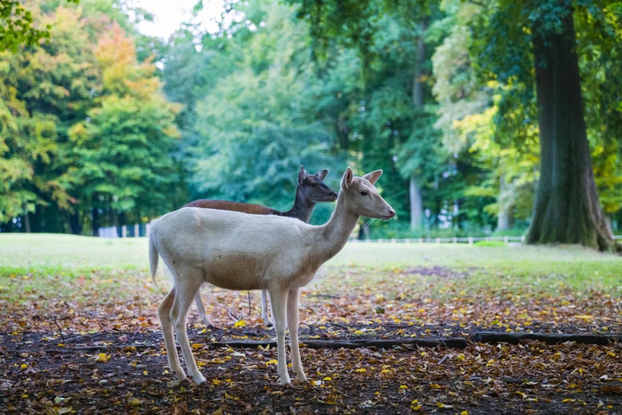 Graeflicher Park Health & Balance Resort Bad Driburg Zewnętrze zdjęcie